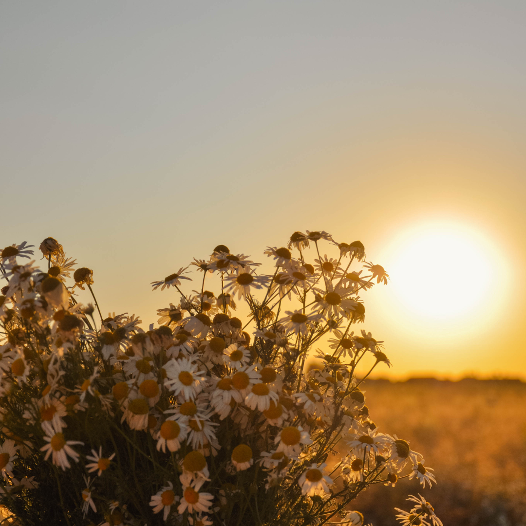 Lighten the load for Spring 🌼